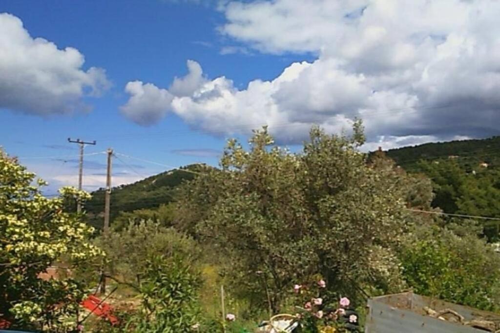 Sergi Home Raches  Exterior foto